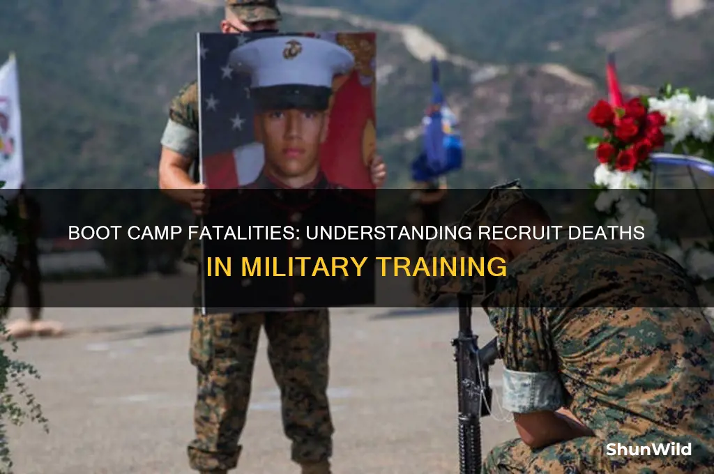 how many armed forces recruits die in boot camp