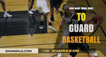Defending the Perimeter: Arm's Length Away in Basketball