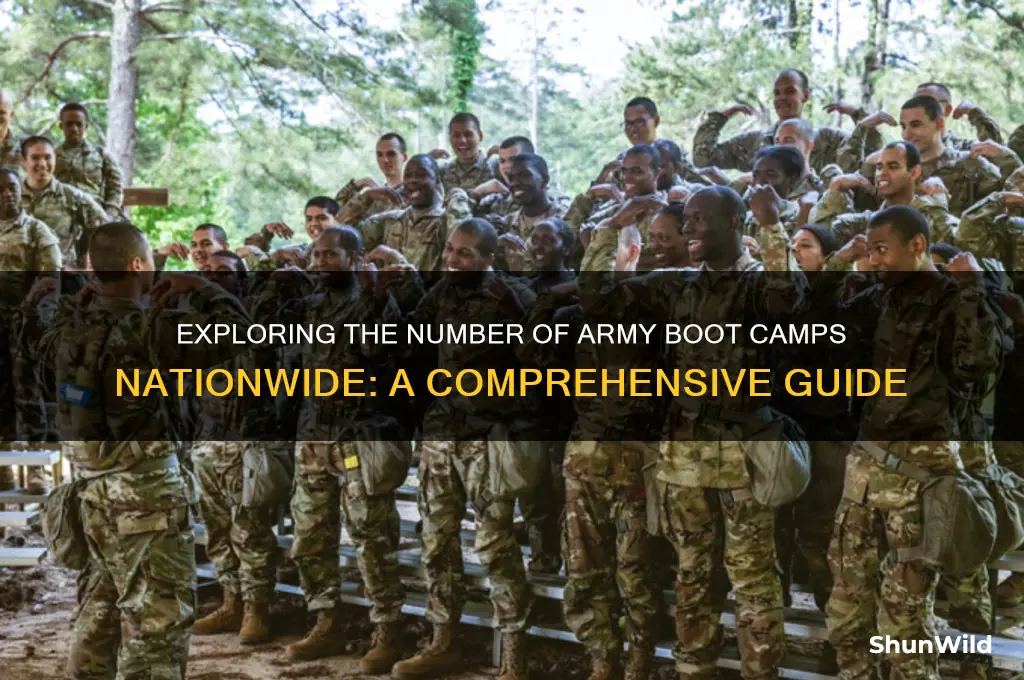 how many army boot camps are there