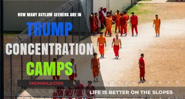 Trump's Detention Centers: Examining the Plight of Asylum Seekers Inside