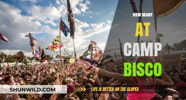 Unveiling the Crowd: Attendance Numbers at Camp Bisco Festival