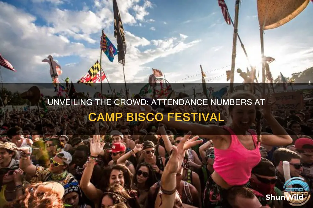 how many at camp bisco
