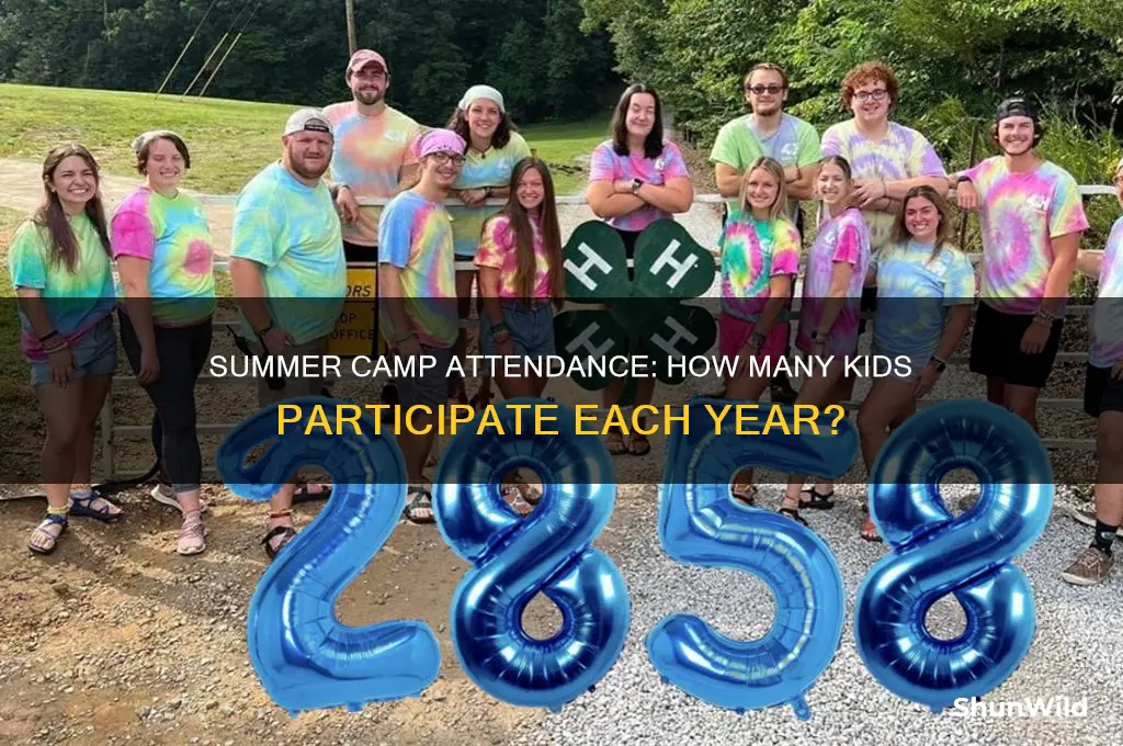 how many attend summer camp