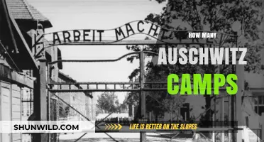 Auschwitz Camps: Uncovering the Network of Nazi Concentration Sites