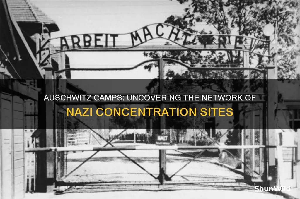 how many auschwitz camps