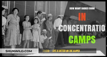 Babies Born in Concentration Camps: A Tragic Historical Perspective