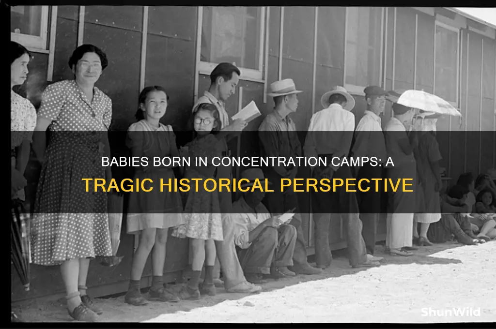 how many babies born in concentration camps
