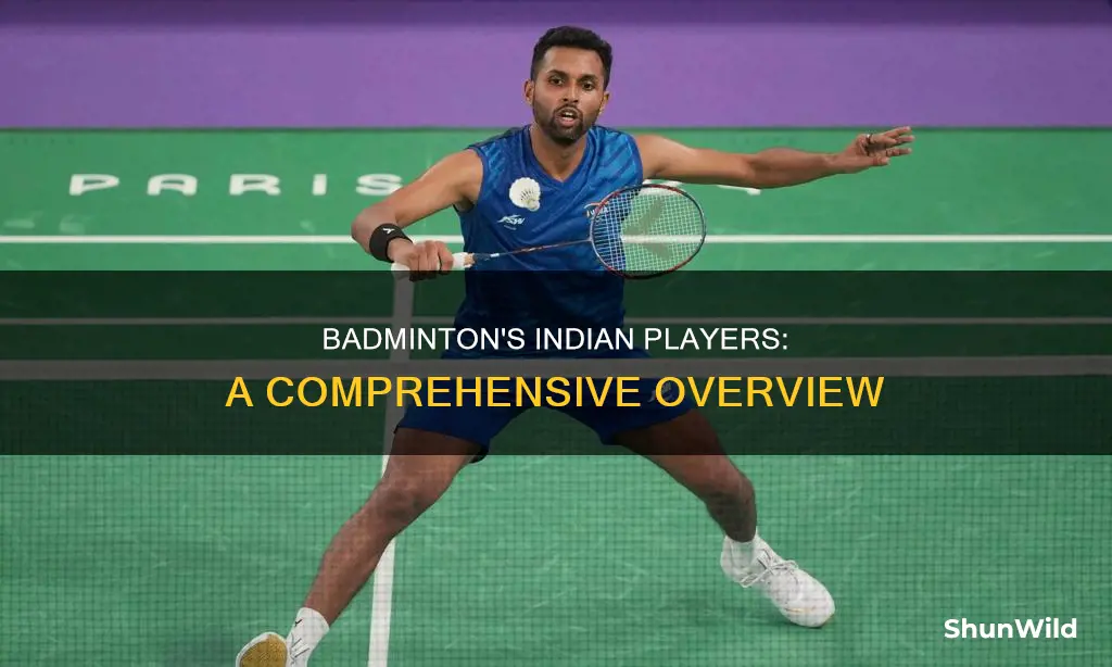 how many badminton players in india