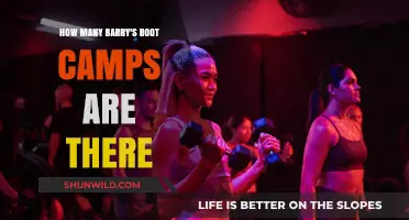 Discover the Total Number of Barry's Bootcamps Worldwide Today