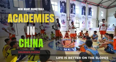 Basketball Academies in China: A Thriving Industry