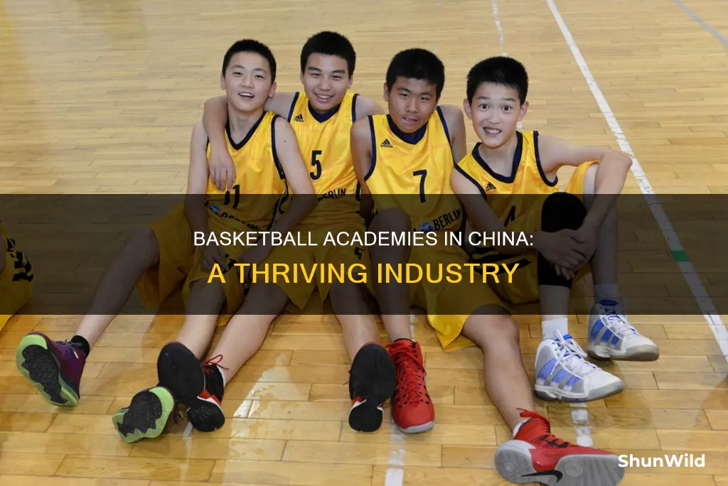 how many basketball academies in china