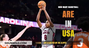 Basketballs in the USA: How Many Are There?