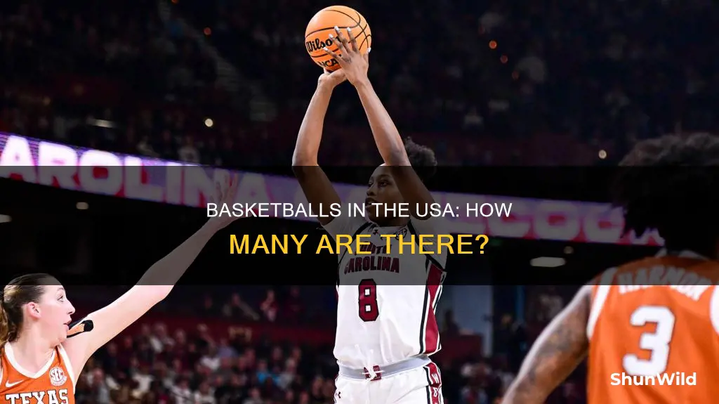 how many basketball are in usa