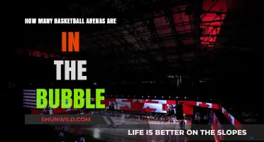 Bubble Basketball: Arenas in the Spotlight