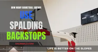 Spalding Backstops: The Court-Side Companion for Basketball Enthusiasts