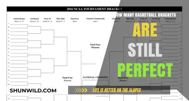 Perfect Brackets: Who's Still in the Running?