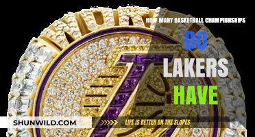 Lakers' Legacy: Championship Dynasty Explored