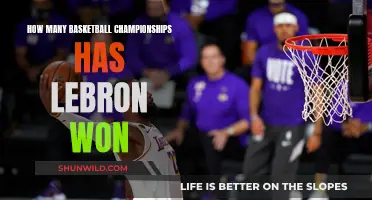 LeBron's Legacy: Champion Multiple Times Over
