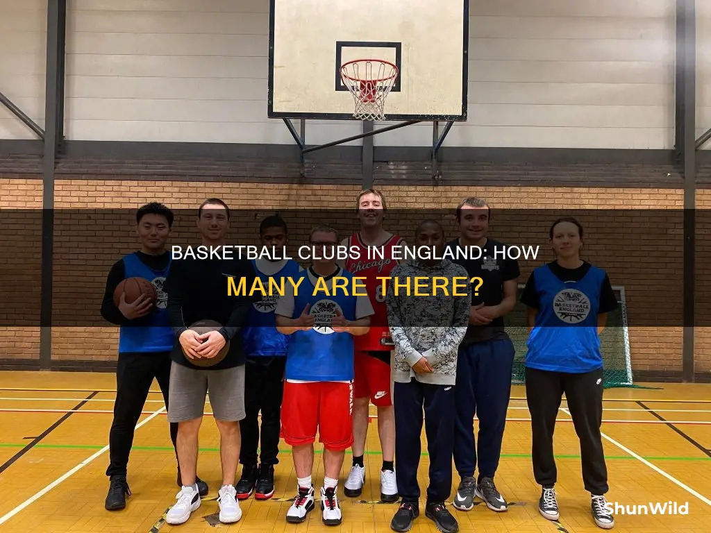 how many basketball clubs in england