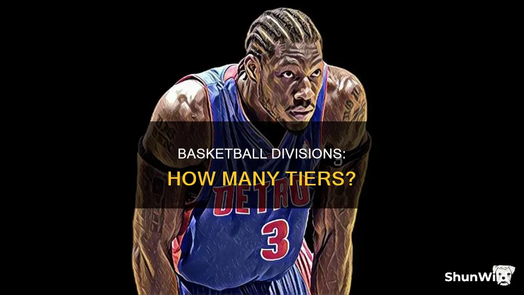 how many basketball divisions are there