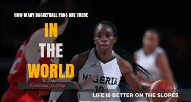 Basketball's Global Fanbase: How Large?
