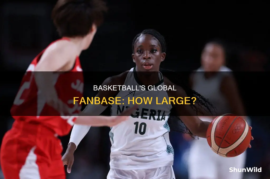 how many basketball fans are there in the world