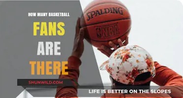 The Global Fanbase of Basketball: How Many?