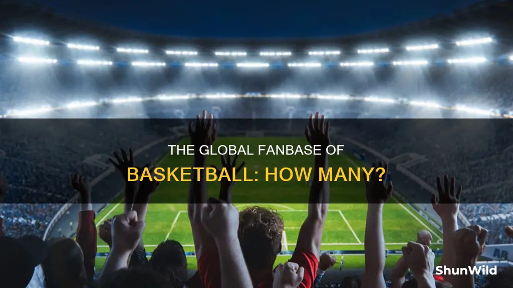 how many basketball fans are there