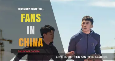 Exploring the Vast Number of Chinese Basketball Fans