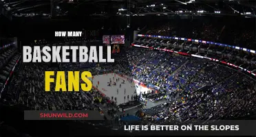 The Global Following: Millions of Basketball Fans Worldwide