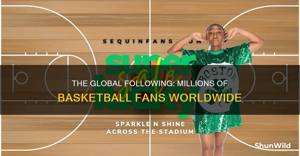 how many basketball fans