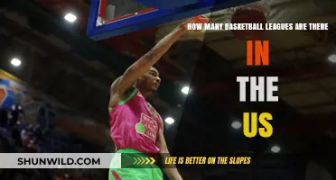 Basketball Leagues in the US: A Comprehensive Overview