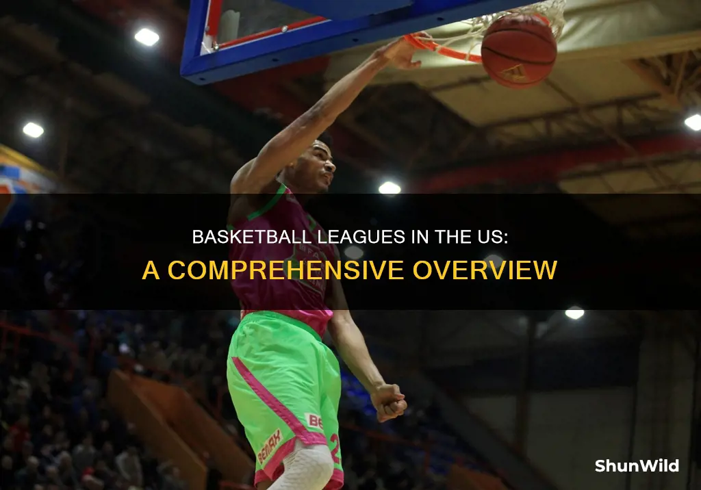 how many basketball leagues are there in the us