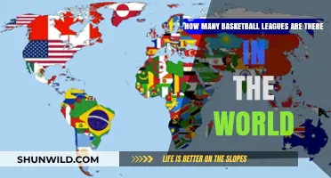 Basketball Leagues Globally: A Comprehensive Overview