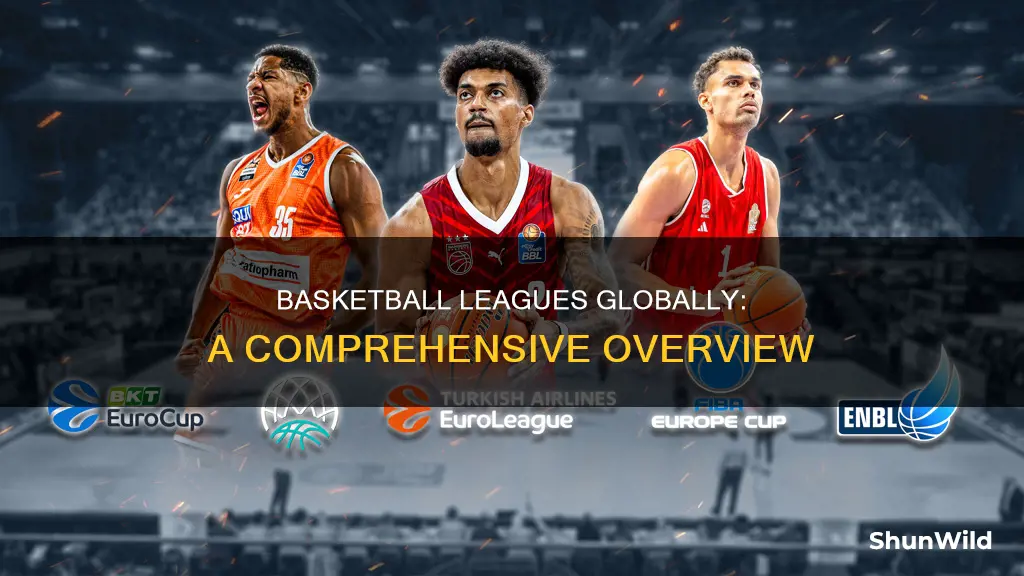 how many basketball leagues are there in the world
