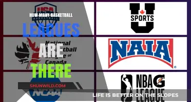 Basketball Leagues: How Many Are There?