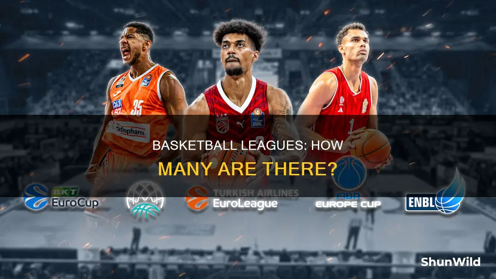 how many basketball leagues are there