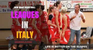 Basketball Leagues in Italy: How Many Are There?