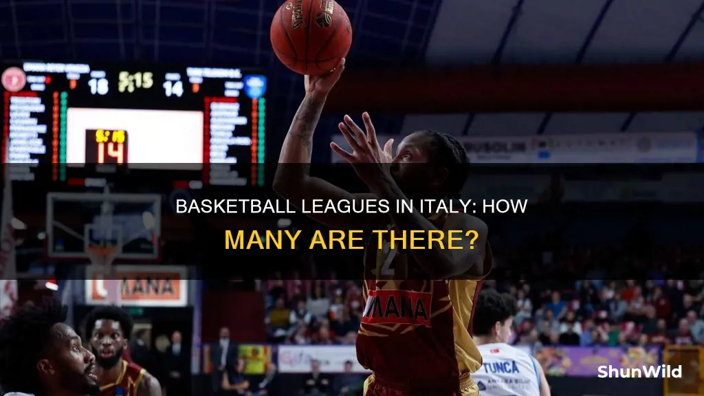 how many basketball leagues in italy