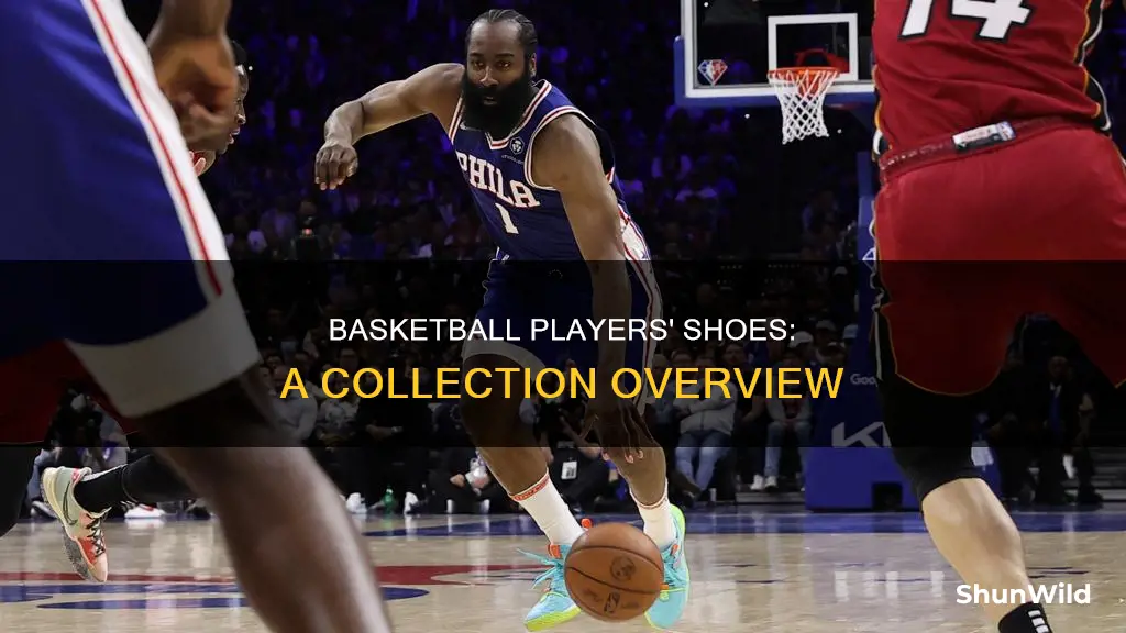 how many basketball players have shoes