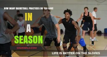 Intense Training: Practice Sessions for a Basketball Season