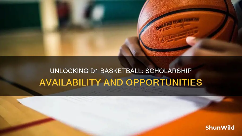 how many basketball scholarships for division 1