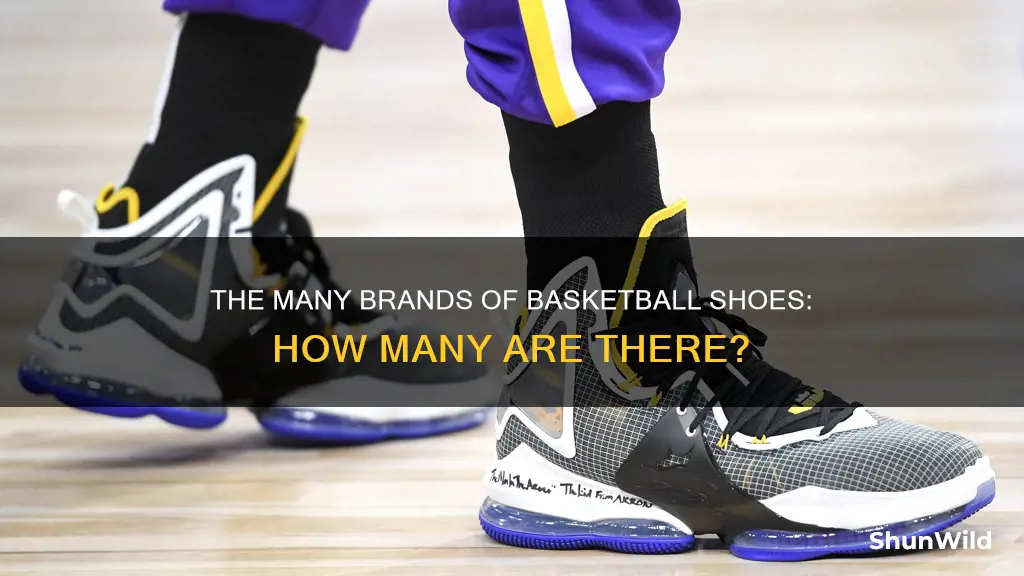 how many basketball shoe brands are there