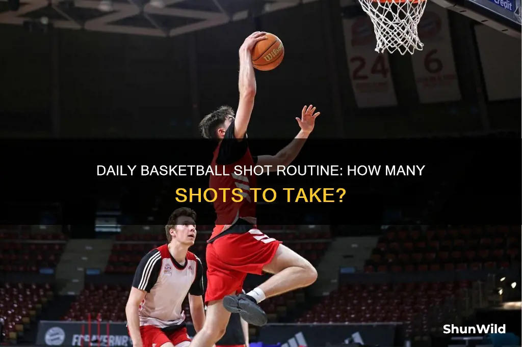 how many basketball shots a day