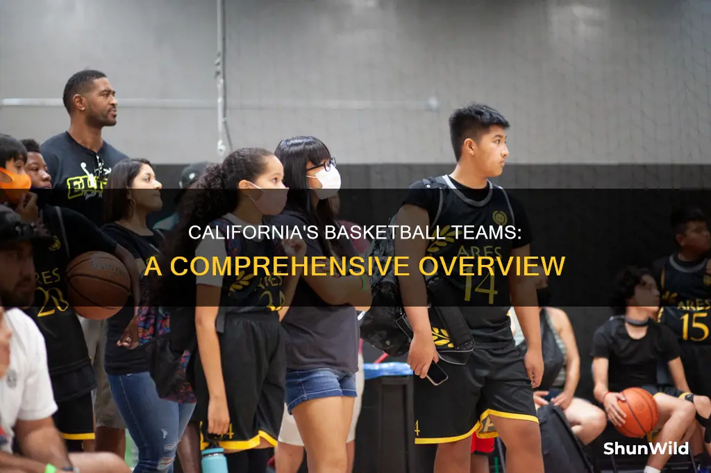 how many basketball taem sin california