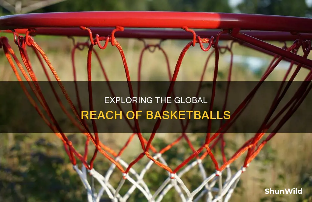 how many basketballs are in the world