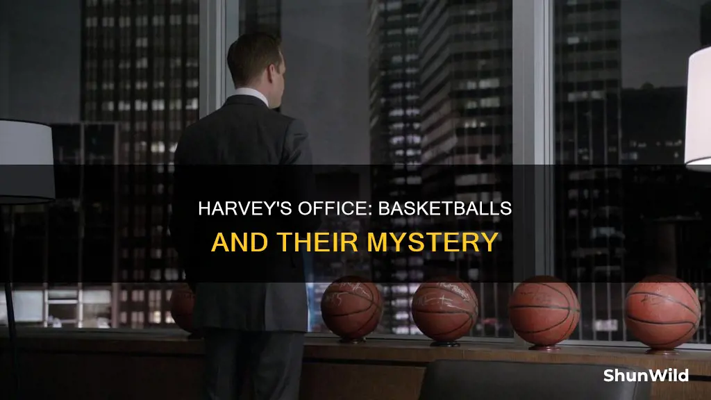 how many basketballs in harvey