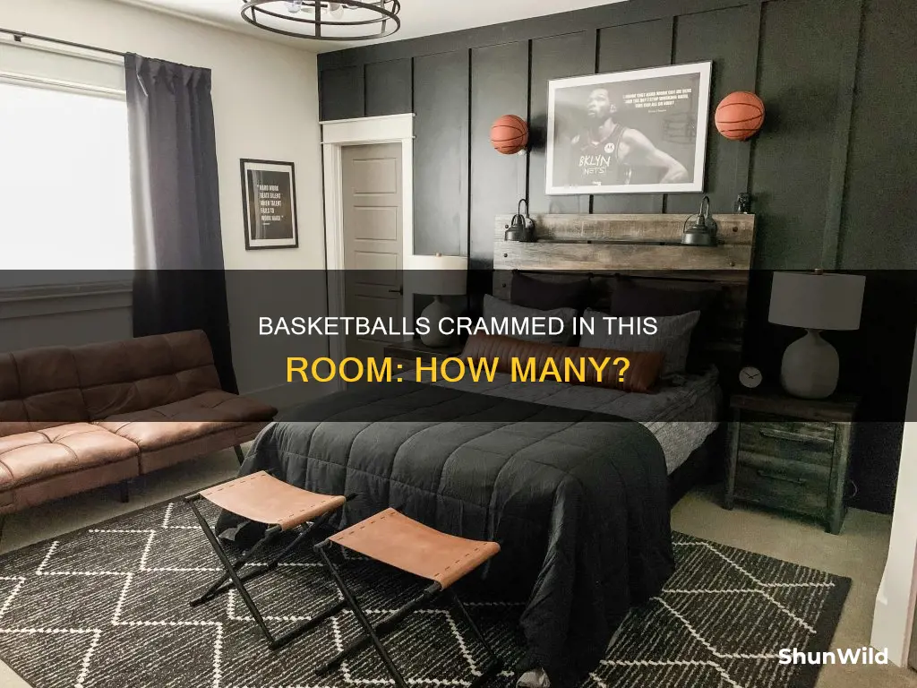 how many basketballs will fit in this room