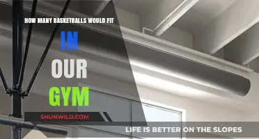 Our Gym's Capacity: Basketball Edition