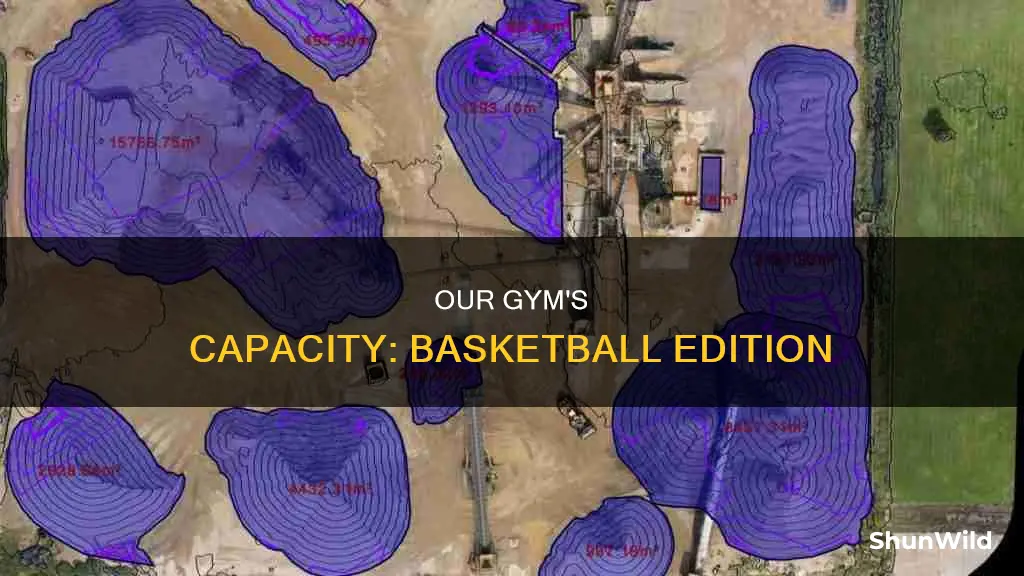 how many basketballs would fit in our gym